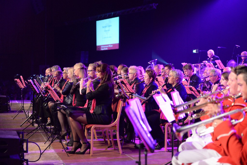 ../Images/Jubileumconcert 100 jaar Harpe Davids 049.jpg